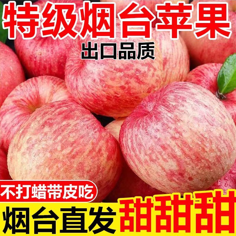 【只供电商】正宗红富士膜袋富士苹果一件代发