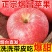 【只供电商】正宗红富士膜袋富士苹果一件代发