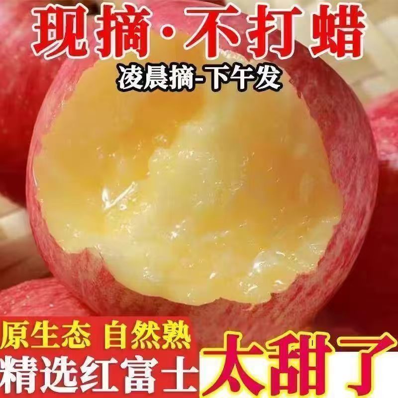 【只供电商】正宗红富士膜袋富士苹果一件代发
