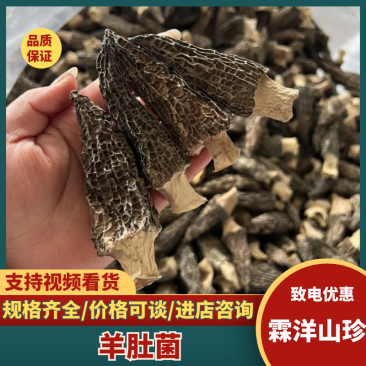 热卖急出羊肚菌精选羊肚菌7-15规格肉厚，丙白，颜色黑
