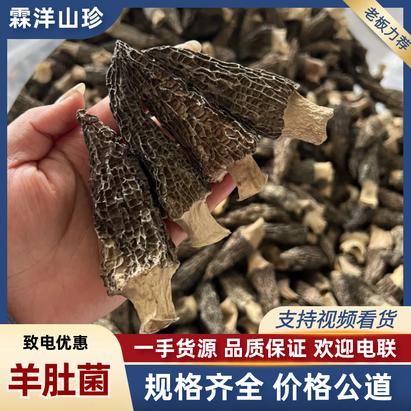 优质羊肚菌干货规格齐全无杂质，无碎片精选货全国发