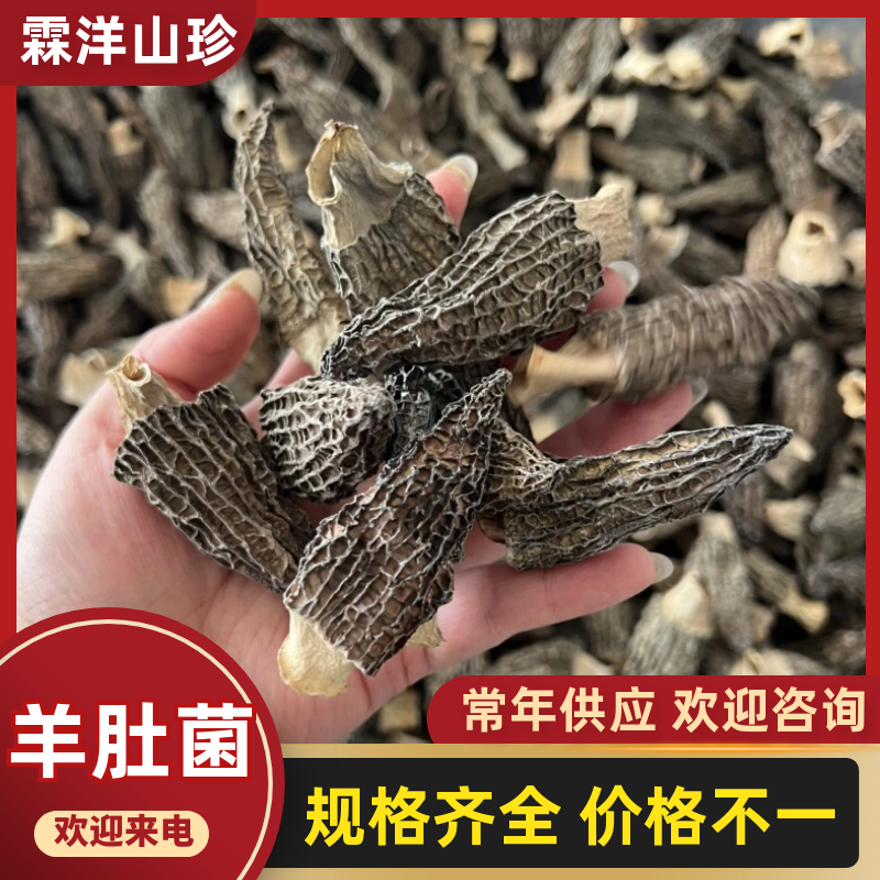 优质羊肚菌干货5-7手选货，性价比高无杂质，无碎片精选货