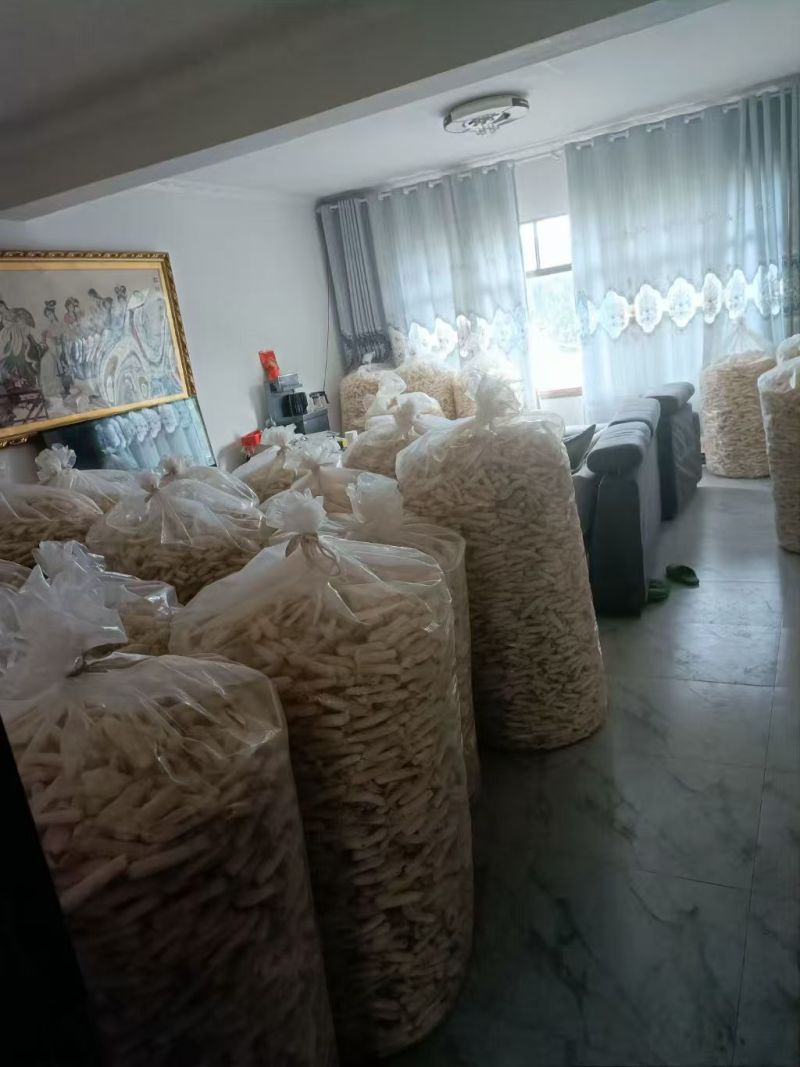 织金清香型竹荪营养美味新鲜采摘欢迎选购