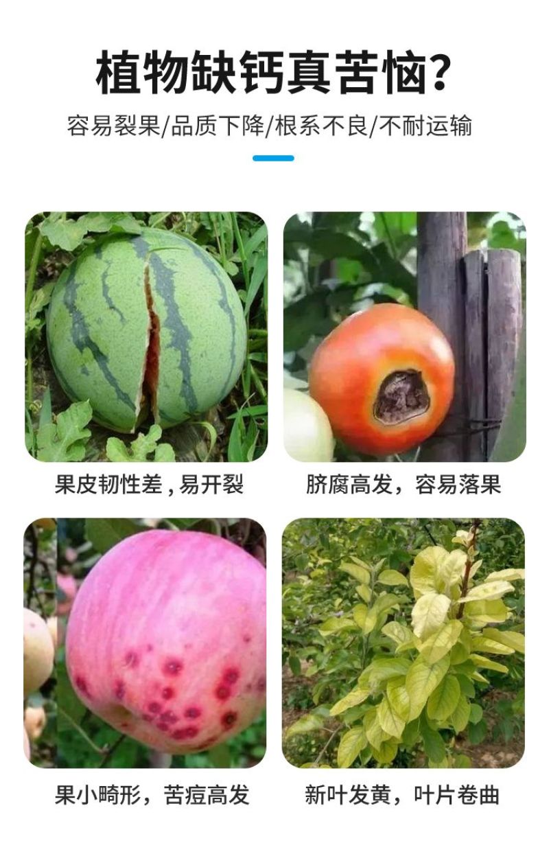 钙肥寡糖·钙快速补钙保花保果防裂果畸形果烂果增重提质增产
