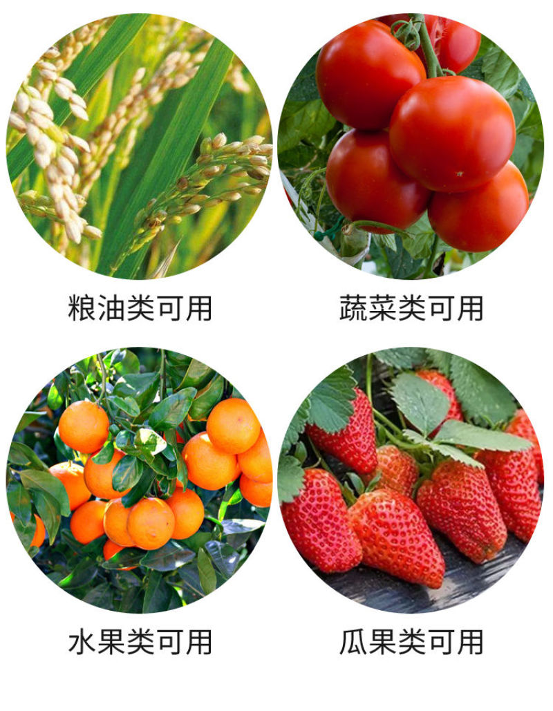 钙肥寡糖·钙快速补钙保花保果防裂果畸形果烂果增重提质增产