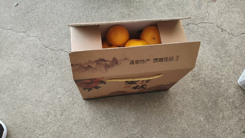 蜜桔、蜜橘、涌泉蜜橘大量有货，产地直发，可视频看货