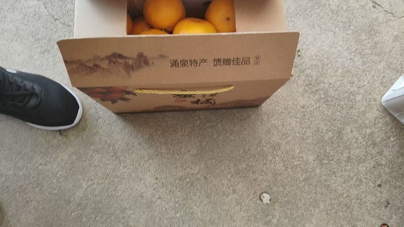 蜜桔、蜜橘、涌泉蜜橘大量有货，产地直发，可视频看货