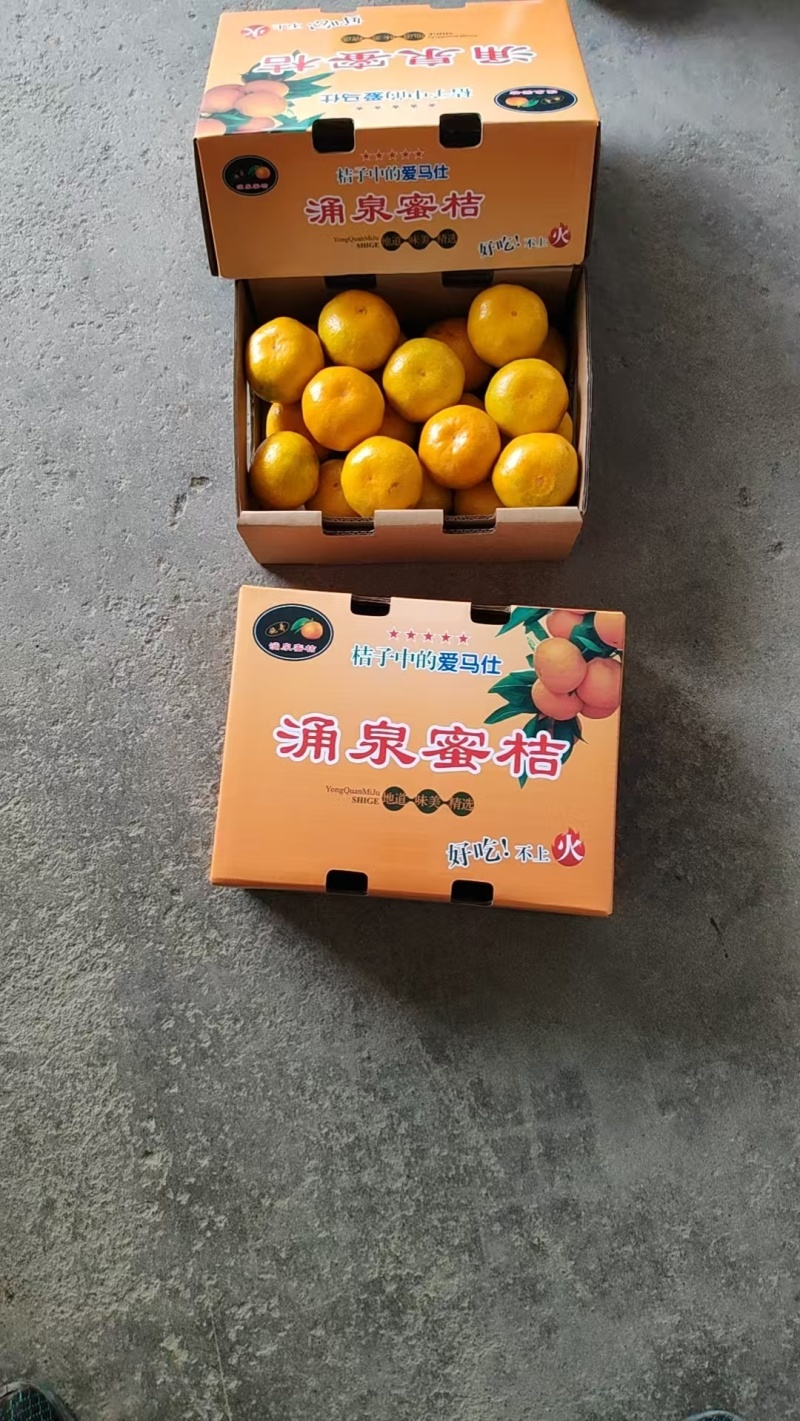 涌泉蜜橘，正宗高山货，实地来看货，长期合作，诚心经营，