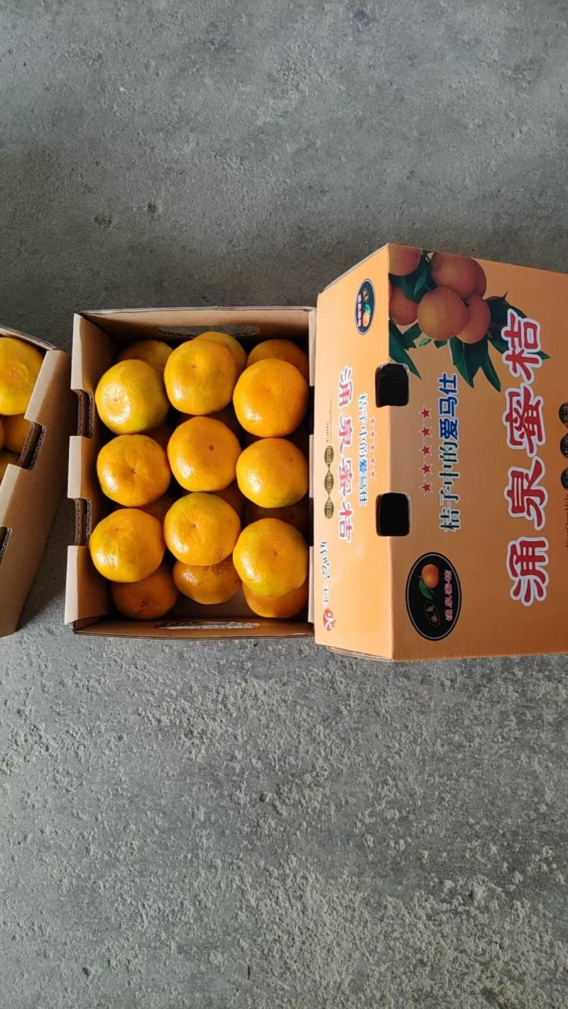 涌泉蜜橘，正宗高山货，实地来看货，长期合作，诚心经营，