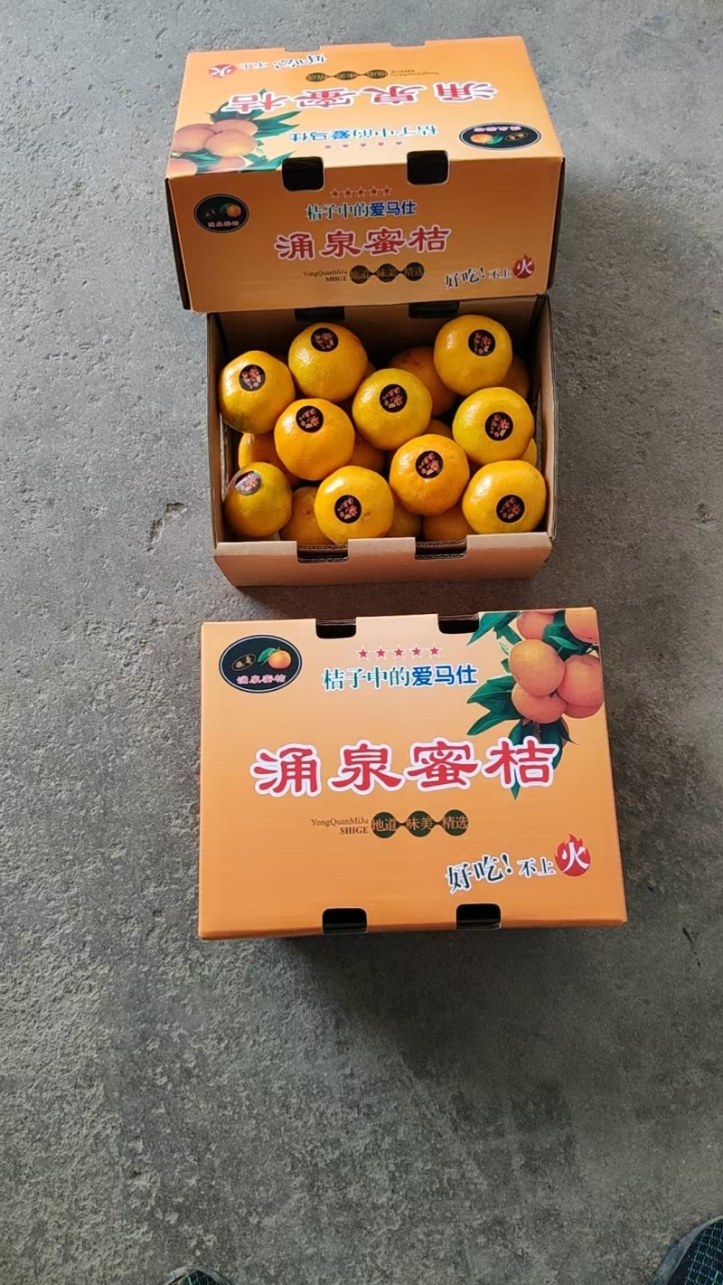 涌泉蜜橘，正宗高山货，实地来看货，长期合作，诚心经营，