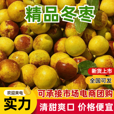 山东冬枣，对接各种商超，市场，社区团购支持全网一件代发