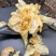 鱼鳔干货鱼胶鱼肚鱼膘黄花胶鱼鳔胶***无漂白