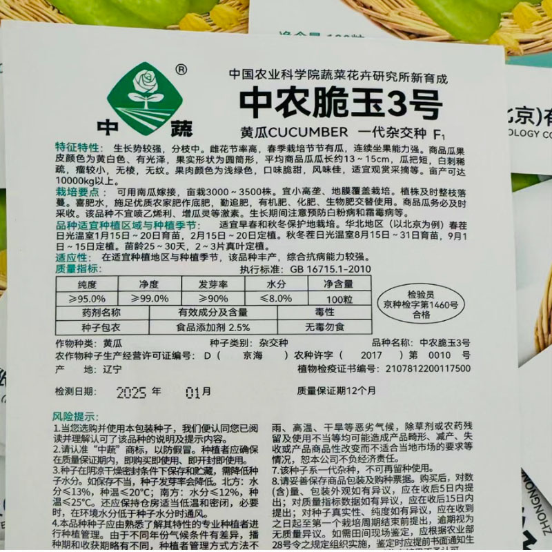 中农脆玉3号水果黄瓜种子春秋温室越冬高产脆甜北京农科