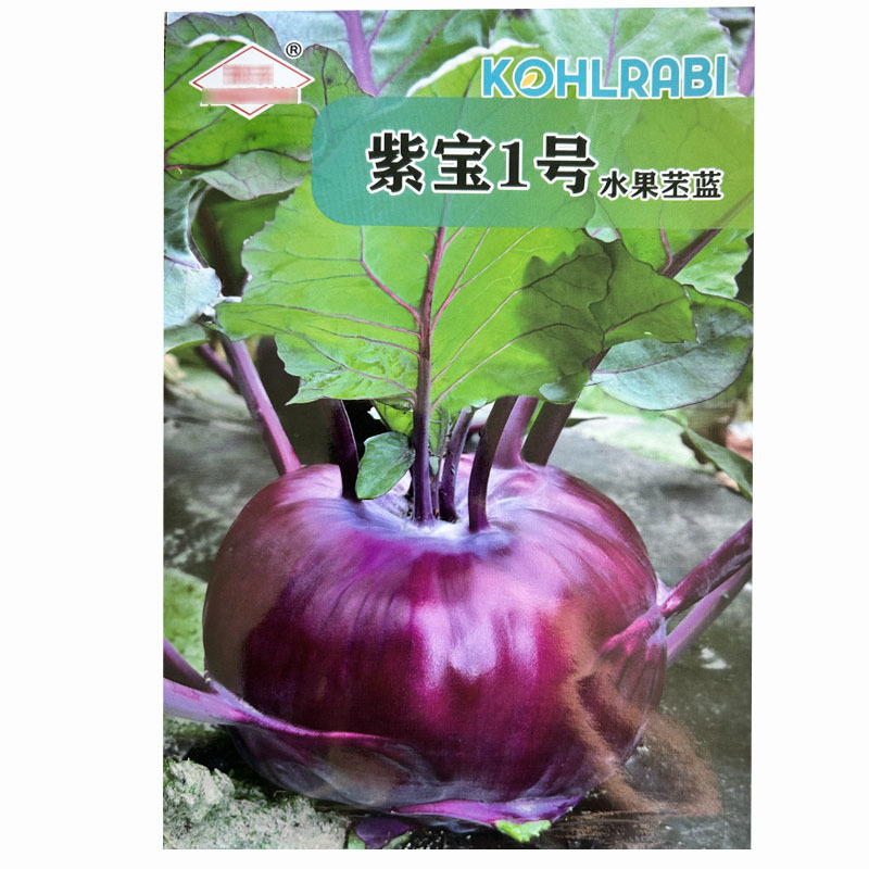 紫苤兰种子球茎甘蓝蔬果菜籽水果丕蓝特蔬菜种孑春秋菜园种