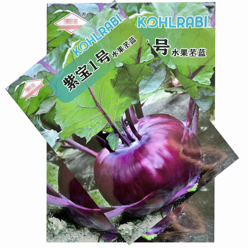 紫苤兰种子球茎甘蓝蔬果菜籽水果丕蓝特蔬菜种孑春秋菜园种