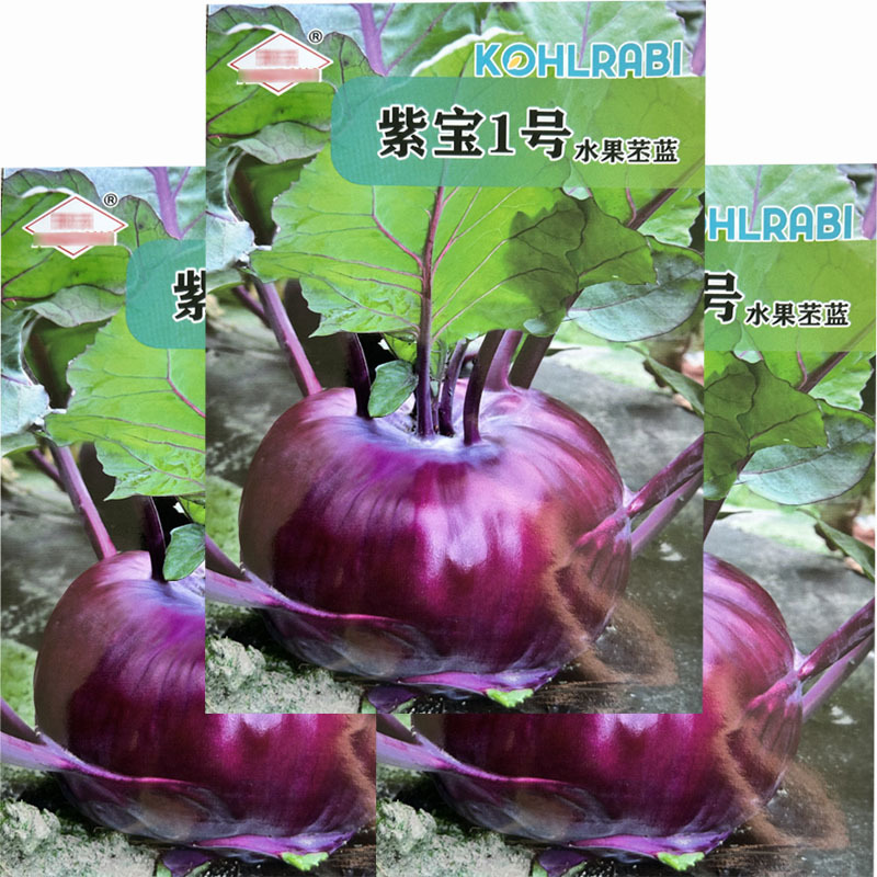 紫苤兰种子球茎甘蓝蔬果菜籽水果丕蓝特蔬菜种孑春秋菜园种
