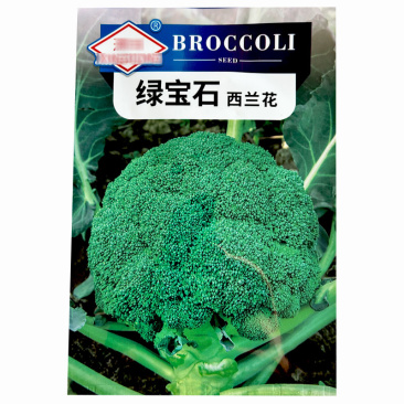 绿宝石西蓝花种子中晚蔬春秋高产中晚熟西蓝花花椰菜