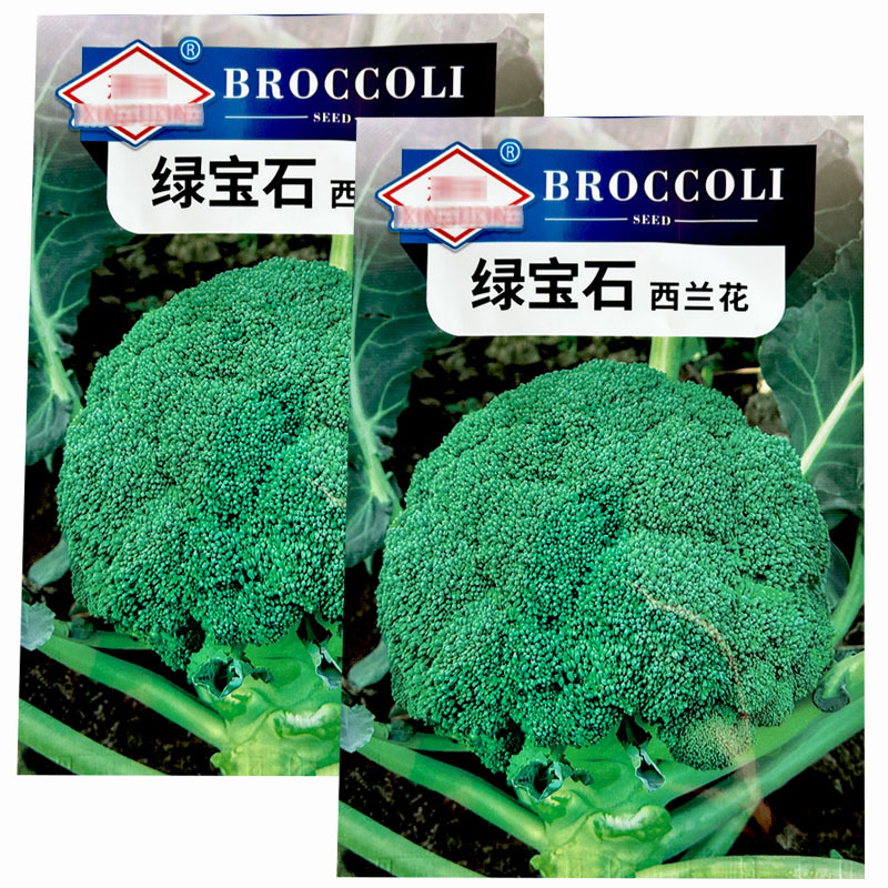 绿宝石西蓝花种子中晚蔬春秋高产中晚熟西蓝花花椰菜