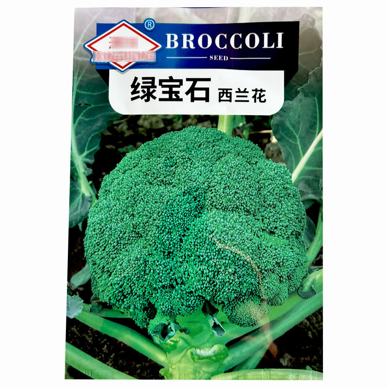 绿宝石西蓝花种子中晚蔬春秋高产中晚熟西蓝花花椰菜