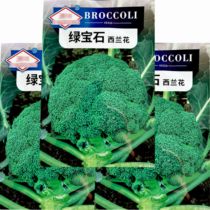 绿宝石西蓝花种子中晚蔬春秋高产中晚熟西蓝花花椰菜