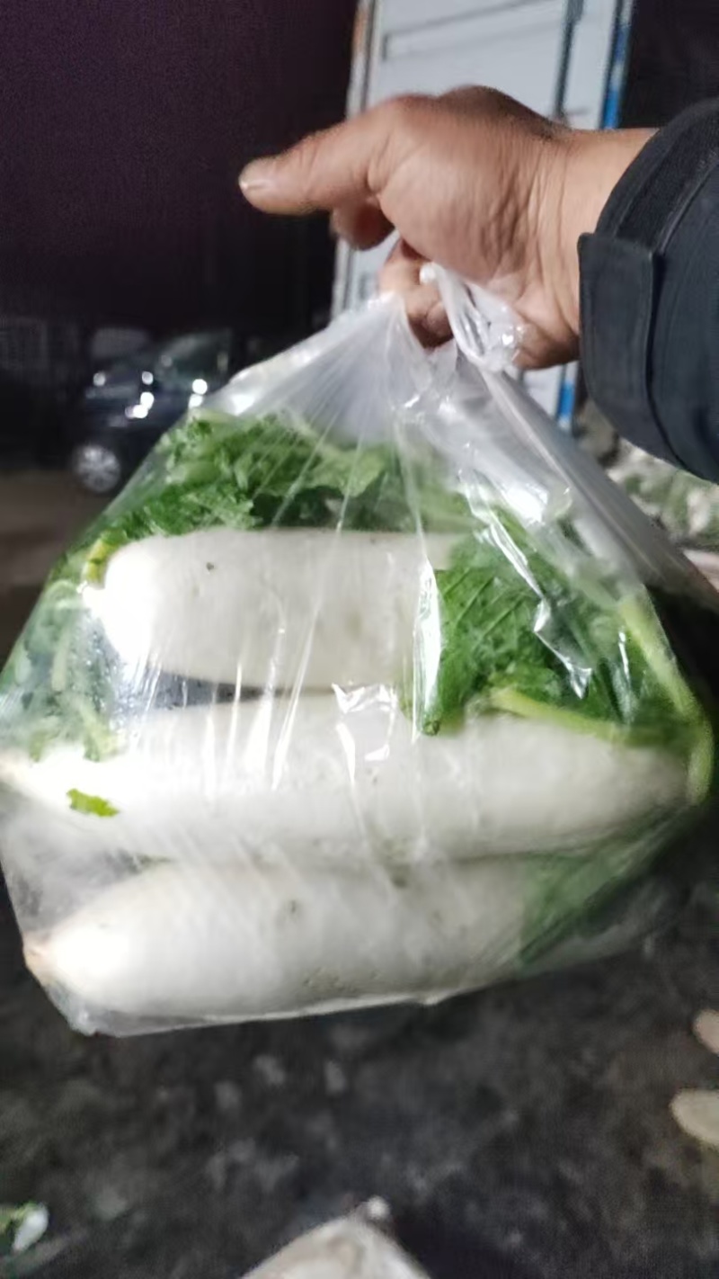 河北白萝卜基地直发品质保证支持视频看货选货欢迎来电