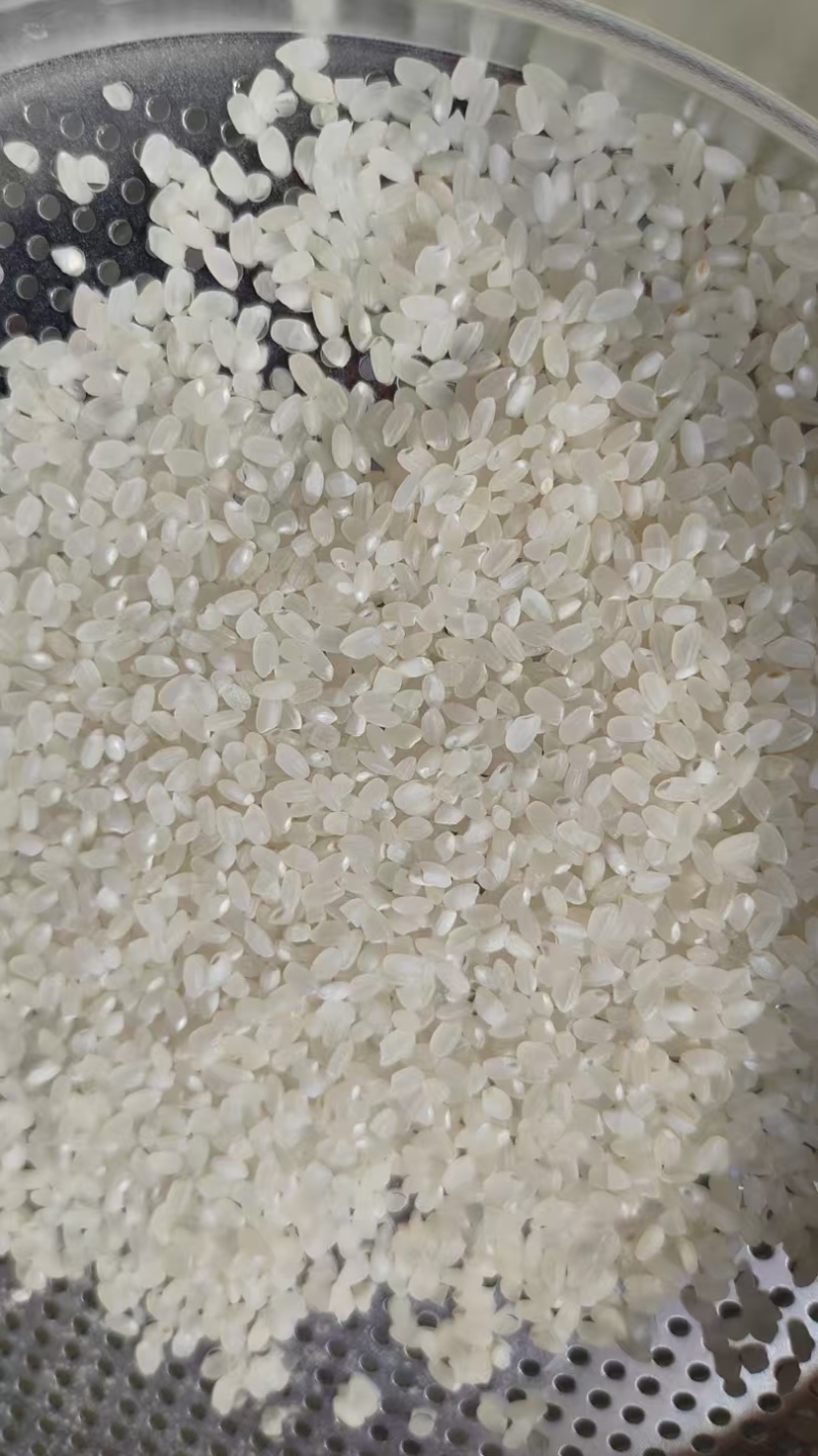 【热卖】盘锦优质水稻粒粒饱满品种优良欢迎选购