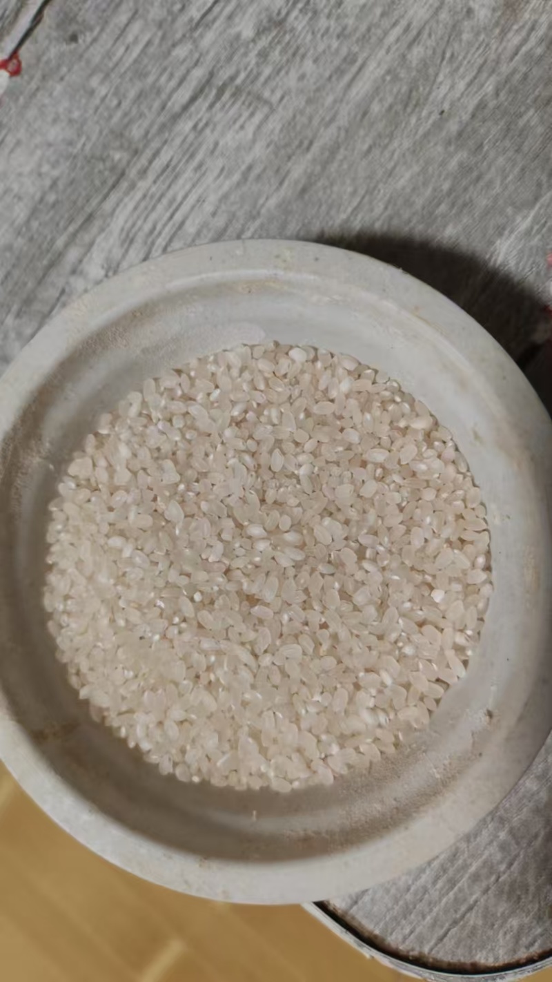 【热卖】盘锦优质水稻粒粒饱满品种优良欢迎选购