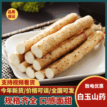 《宁夏山药》白玉山药/精品山药/产地货源/整车供应销售