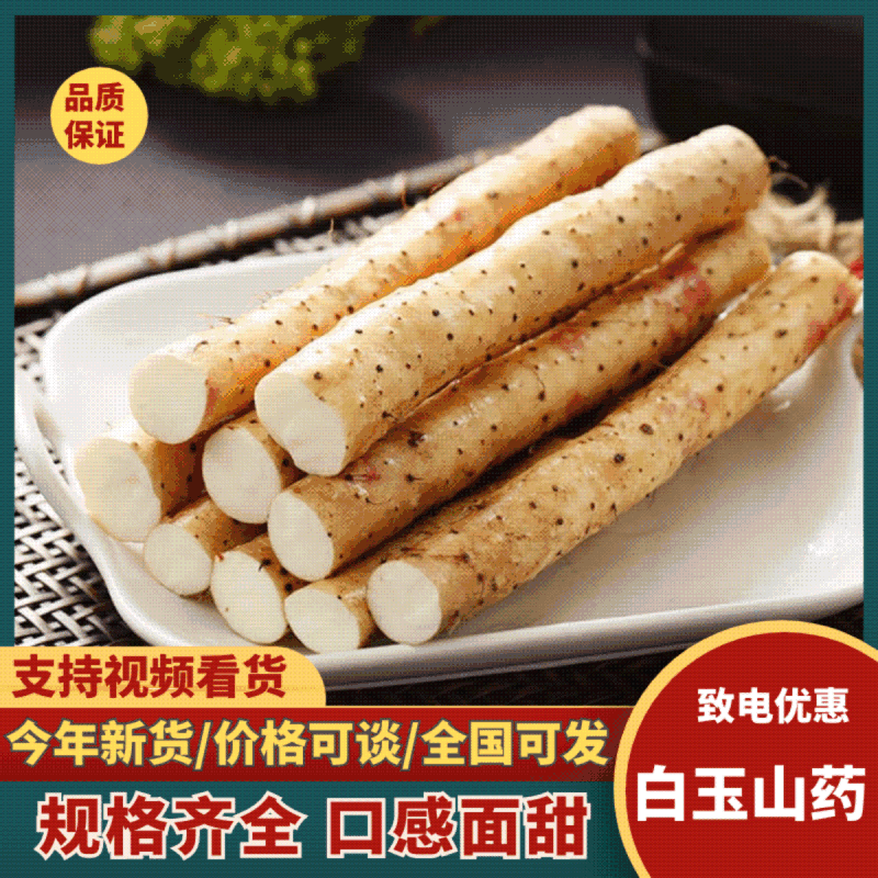 《宁夏山药》白玉山药/精品山药/产地货源/整车供应销售