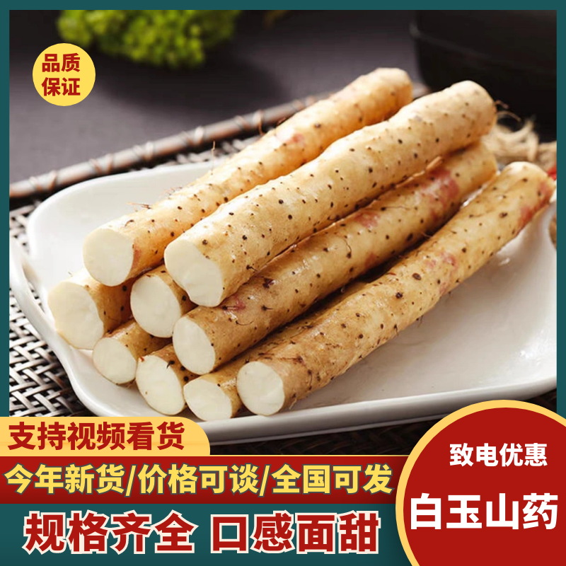 《推荐》精品山药/沙地山药/双棒山药/紫药/小白嘴