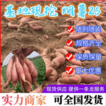 实力推荐《烟薯25号》山东红薯规格齐全现货供应全国发货