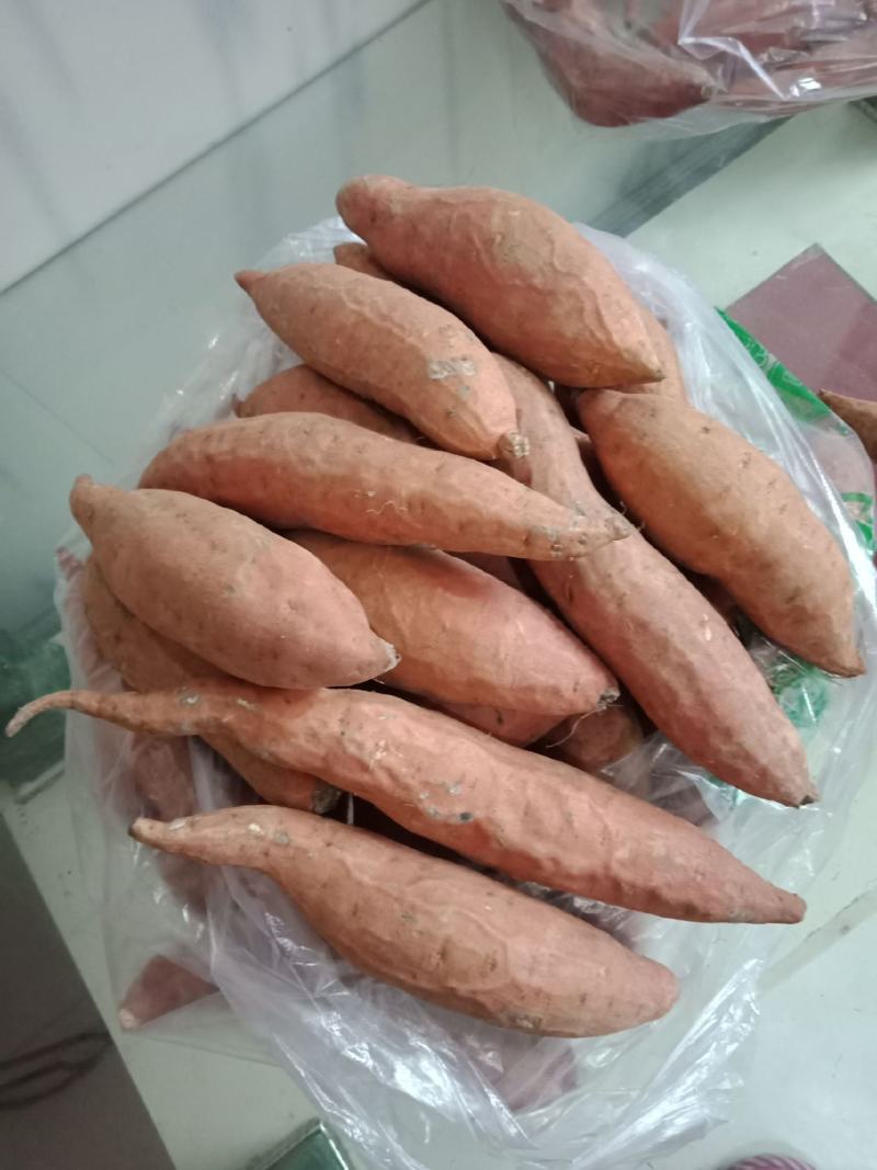 《精选》烟薯25山东红薯规格齐全全国发货现货供应