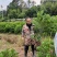 正宗仙居东魁杨梅苗1-6年原杯原土早熟结果黑炭盆栽果树