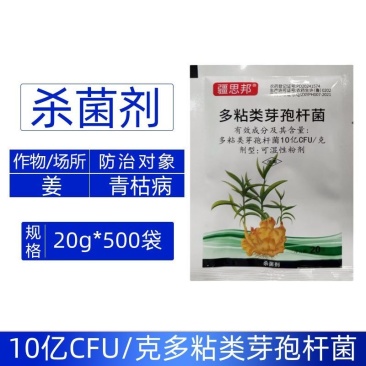 疆思邦10亿CFU/克多粘类芽孢杆菌姜青枯病强力杀菌剂整