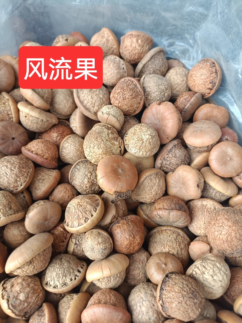 风流果野生正品泡酒料龟子头天竺粒风流果大货批发