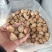风流果野生正品泡酒料龟子头天竺粒风流果大货批发