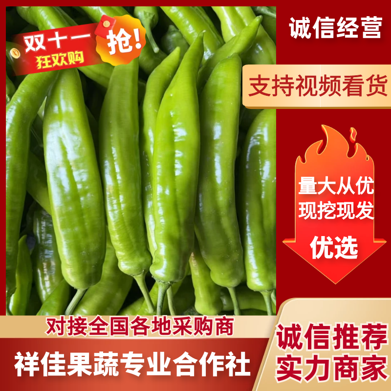 精品尖椒大量供应市场超市电商平台品质保障价格美丽