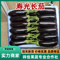 寿光精品长茄产地直供电商平台超市批发市场大量供货