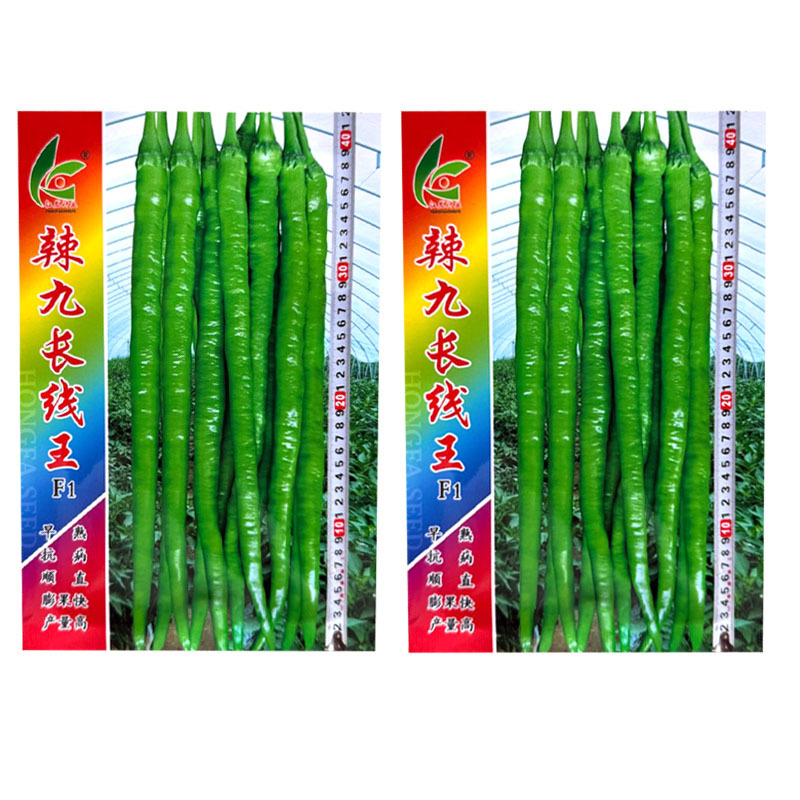 辣九长线王线椒种子杂交早熟抗病顺直辣味香浓膨果快产量高