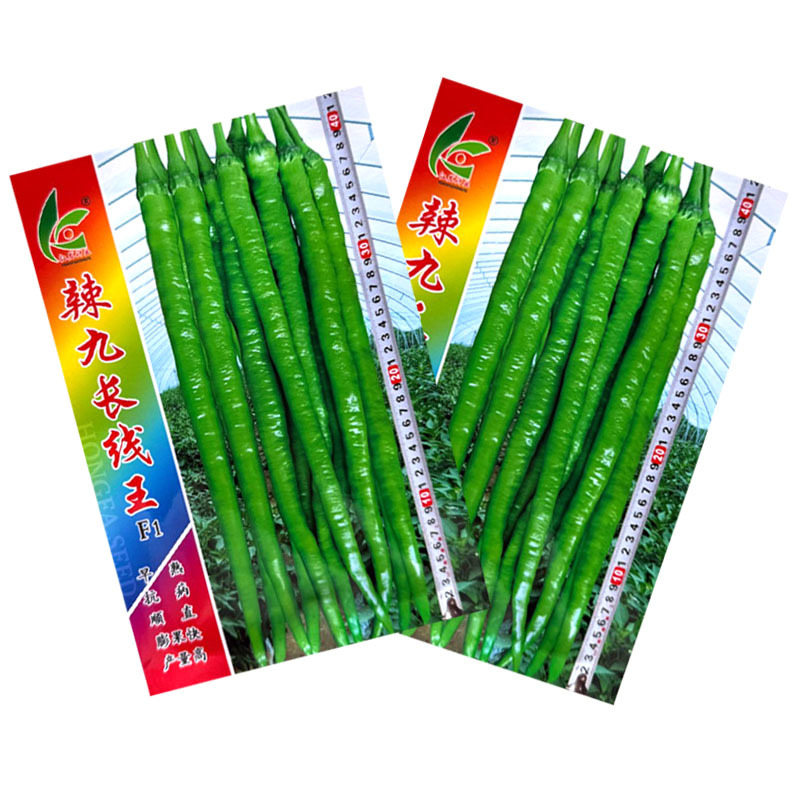 辣九长线王线椒种子杂交早熟抗病顺直辣味香浓膨果快产量高