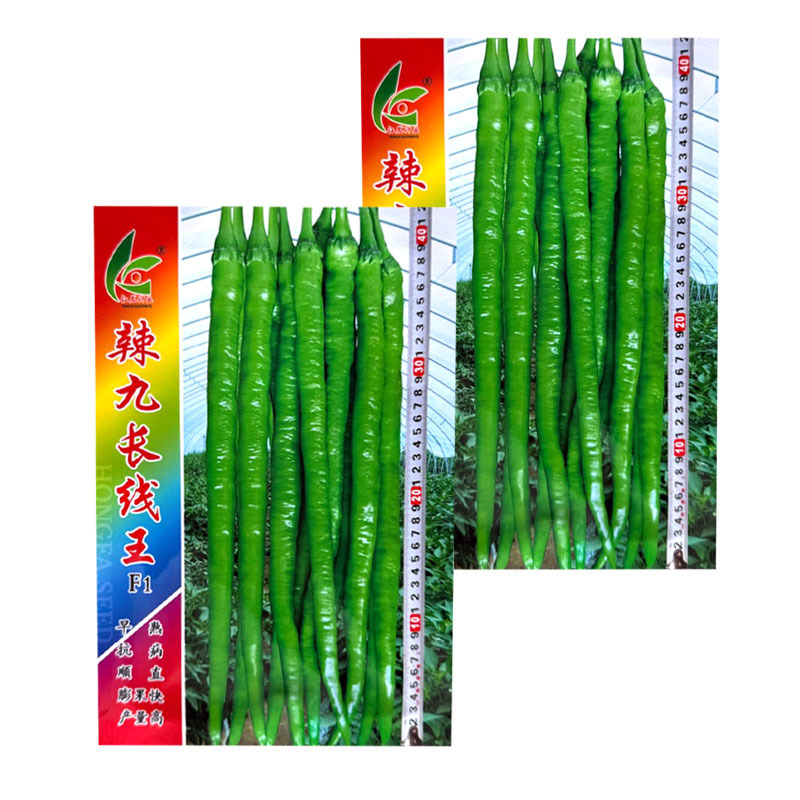 辣九长线王线椒种子杂交早熟抗病顺直辣味香浓膨果快产量高