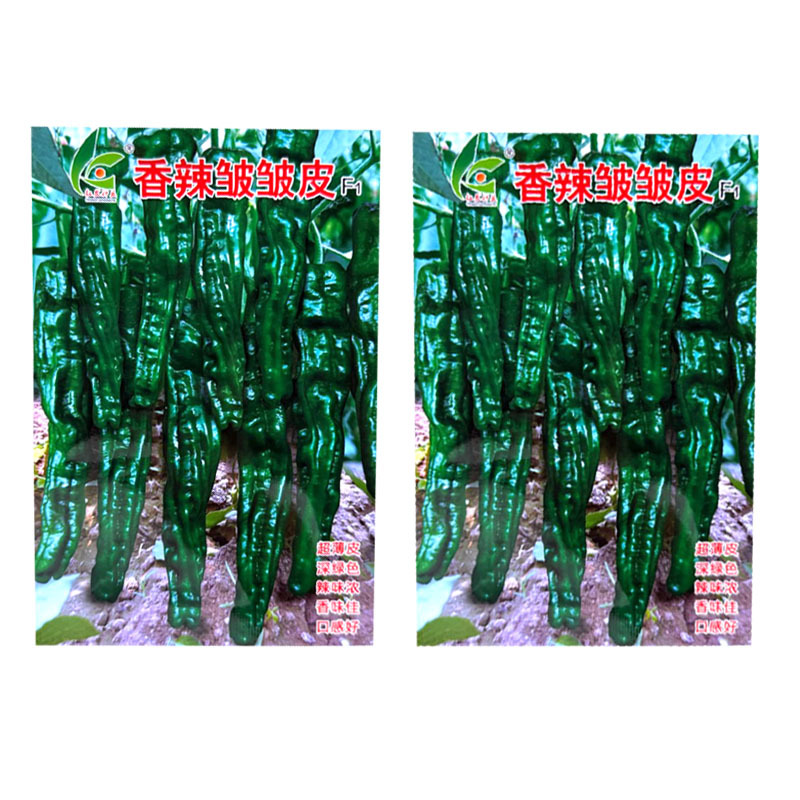 香辣皱皱皮辣椒种子杂交早熟皱皮椒种籽薄皮辣味香浓口感好