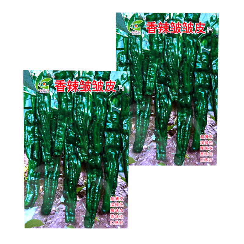香辣皱皱皮辣椒种子杂交早熟皱皮椒种籽薄皮辣味香浓口感好