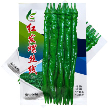 红发螺丝线椒种子杂交早熟皮薄质脆辣味香浓挂果多基地种植