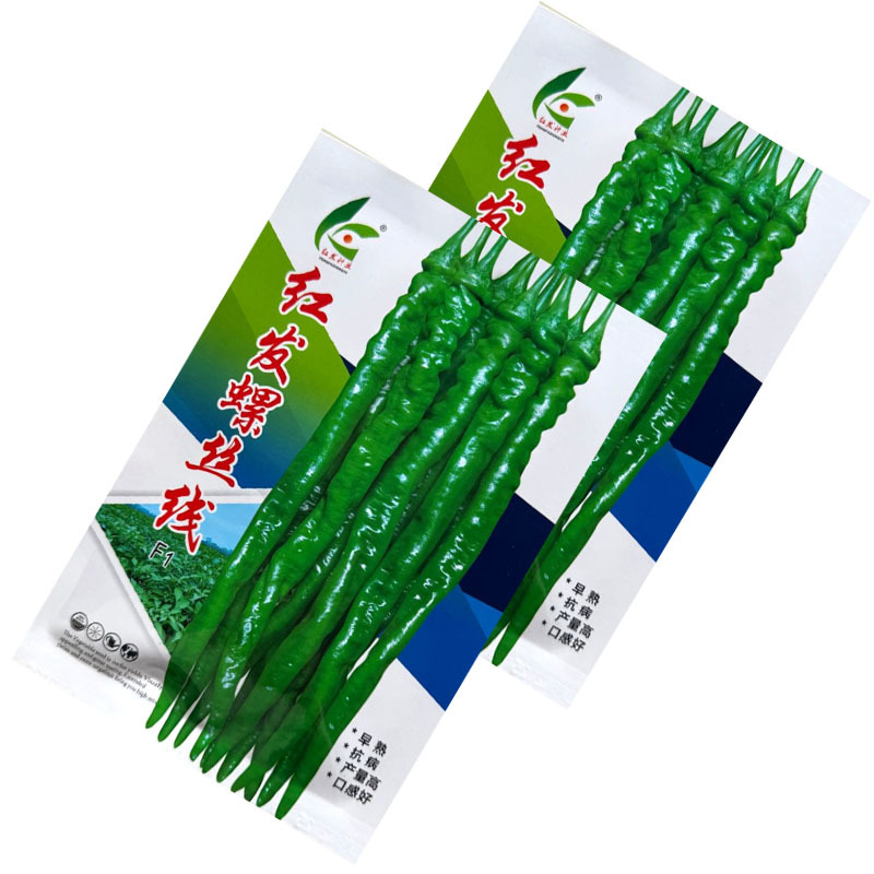 红发螺丝线椒种子杂交早熟皮薄质脆辣味香浓挂果多基地种植