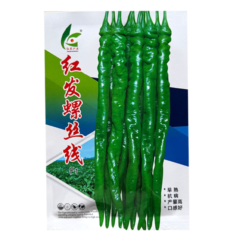 红发螺丝线椒种子杂交早熟皮薄质脆辣味香浓挂果多基地种植