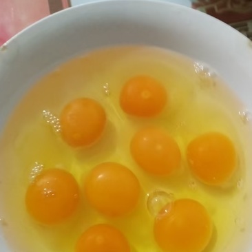 农村散养生态土鸡蛋/老品种原生态养殖/品质保证/量大价优