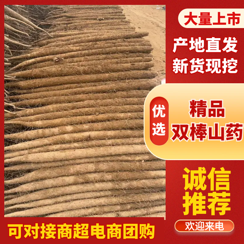 河南安阳双棒山药，产地直发，品质保证，诚信经营，可视频看货