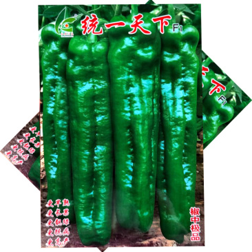 统一天下大果牛角椒种子早熟粗长皮薄微辣肉脆渣连续坐果强