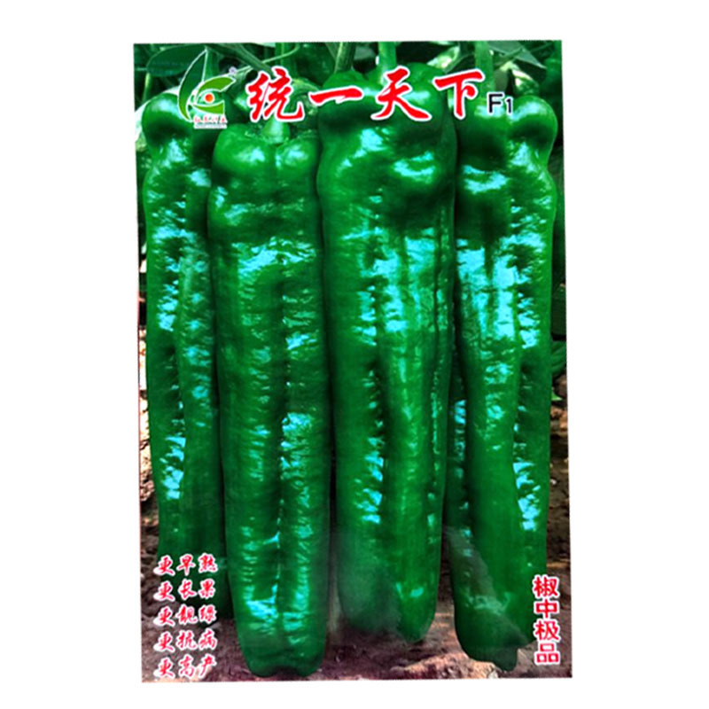 统一天下大果牛角椒种子早熟粗长皮薄微辣肉脆渣连续坐果强